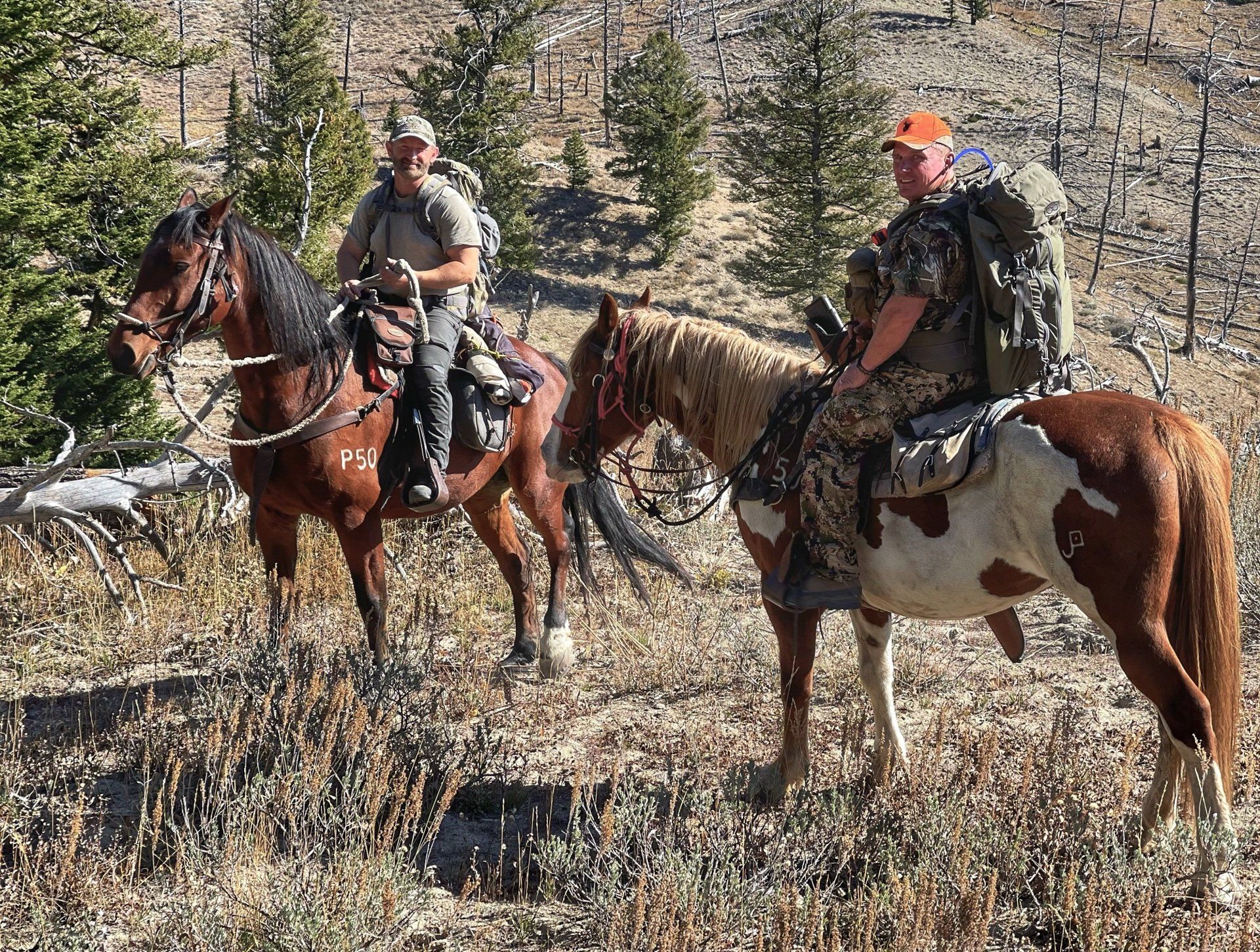 Two men riding horses in a field with trees in the background