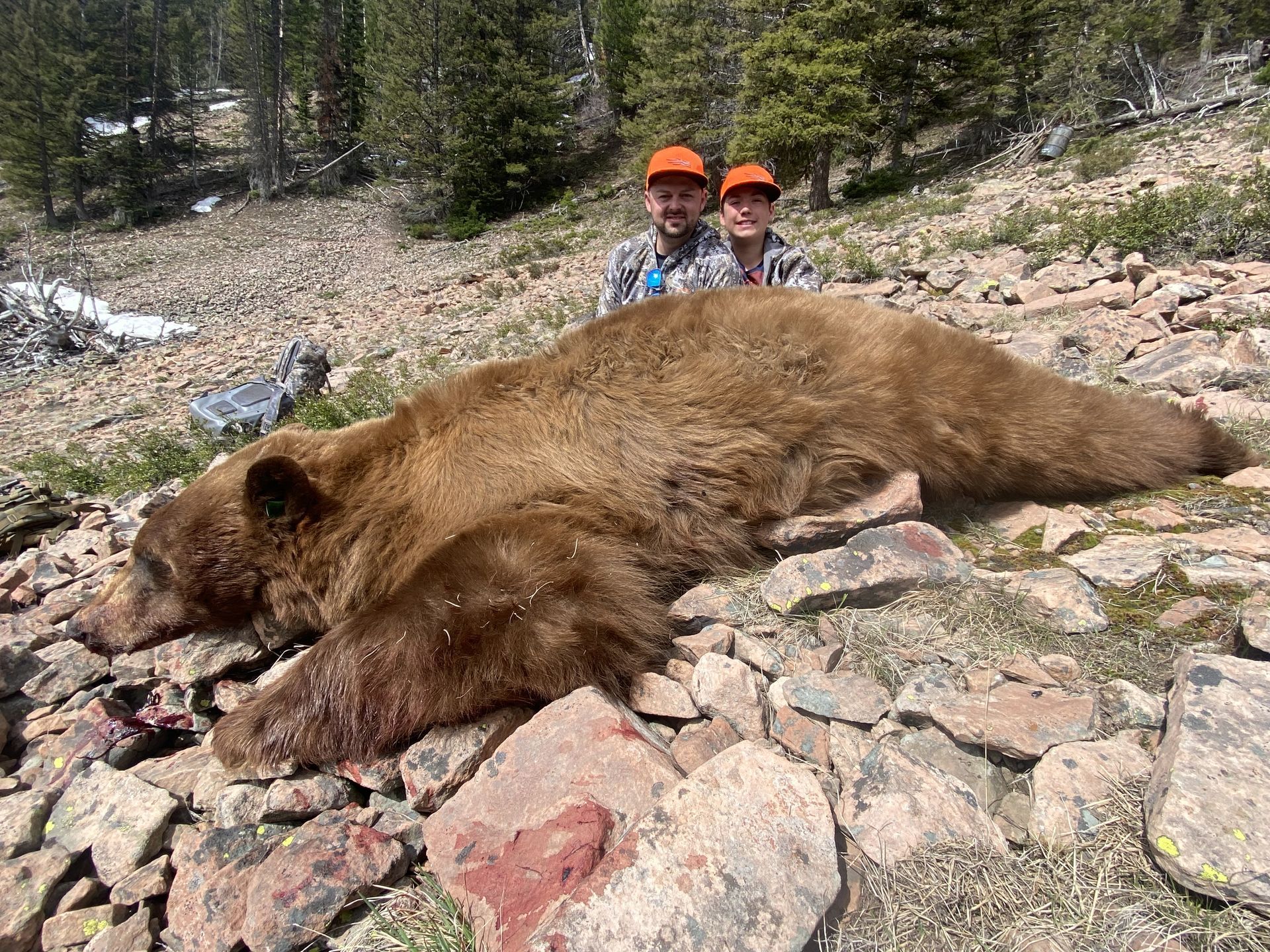 Two people pose behind a large, brown bear on a rocky hillside.