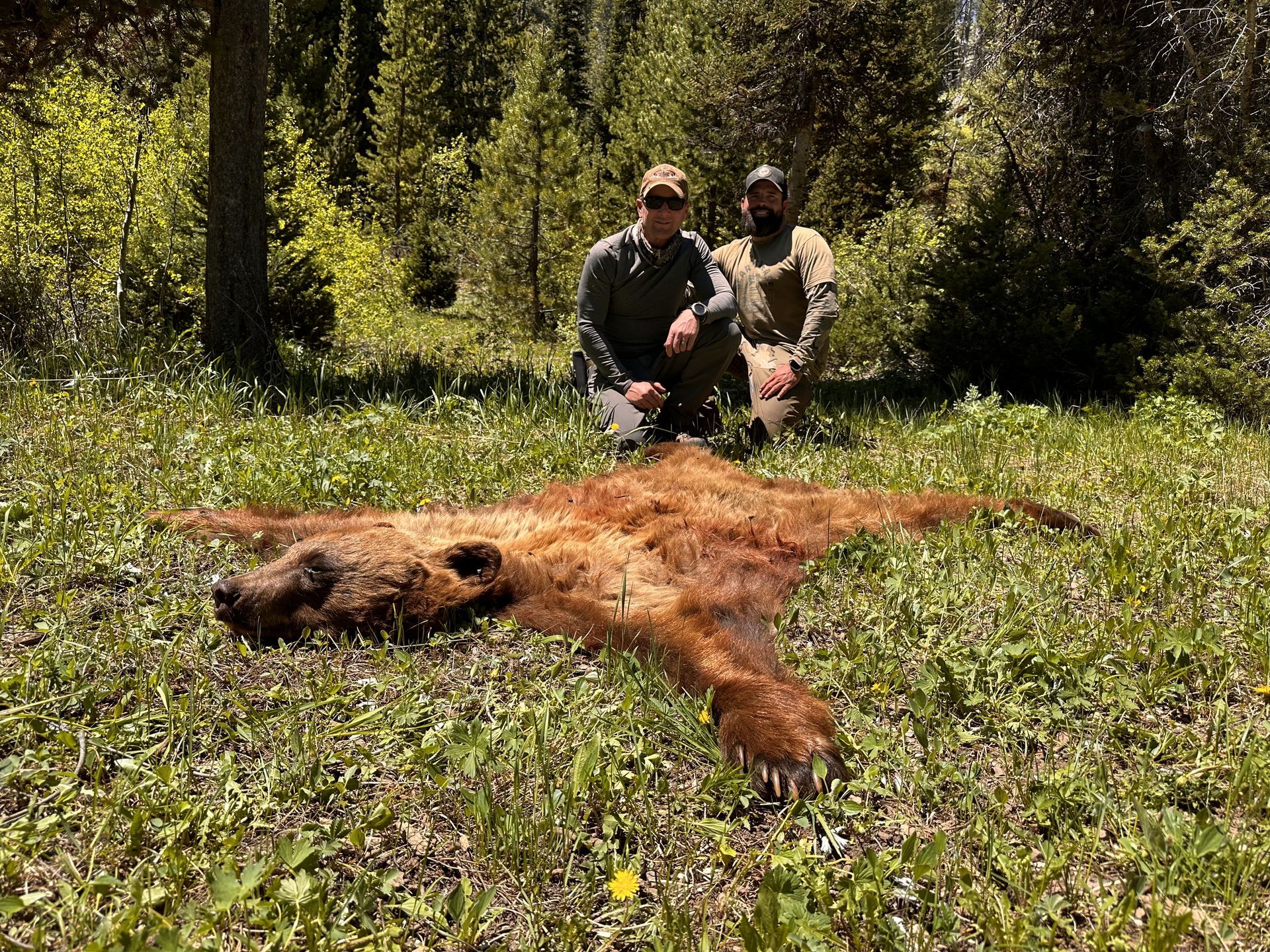 Two men kneeling near a bear hide in a grassy forest clearing.