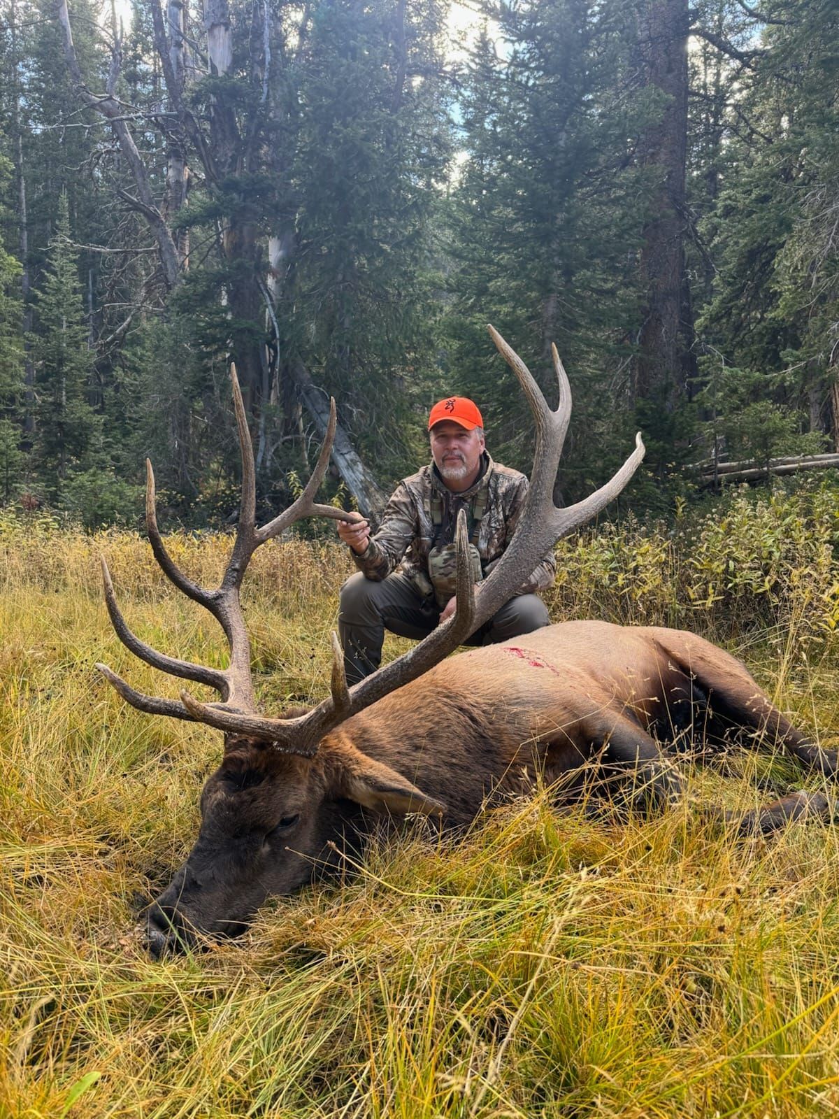 Hunter kneels beside a large elk in a grassy field, holding a knife. He wears a camo jacket and orange hat. Forest background.