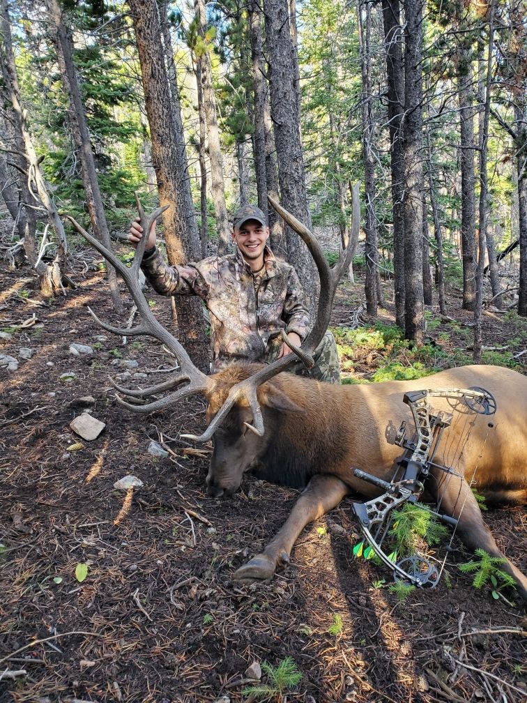 Man in camo beside a large elk with antlers in a forest. He is smiling and holding his hands up.