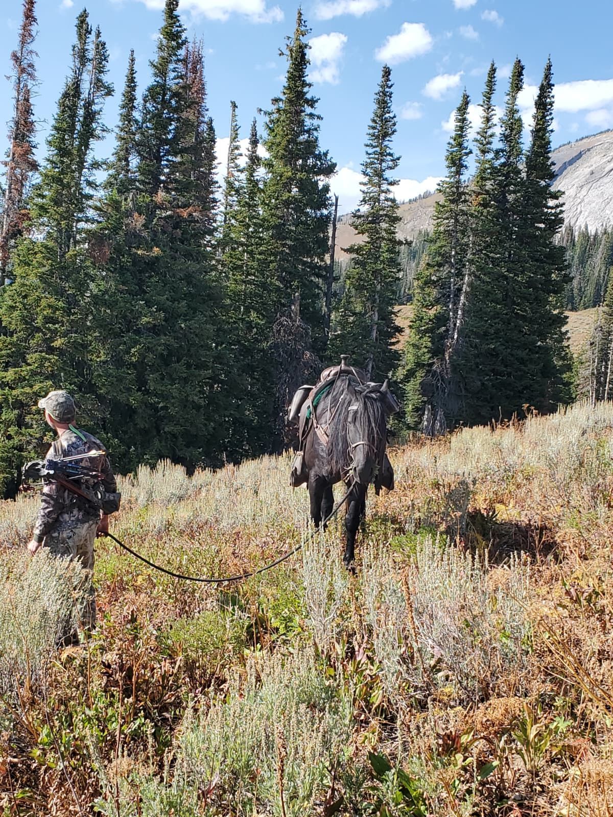 Two people and a horse in camouflage gear hike through a mountain landscape.