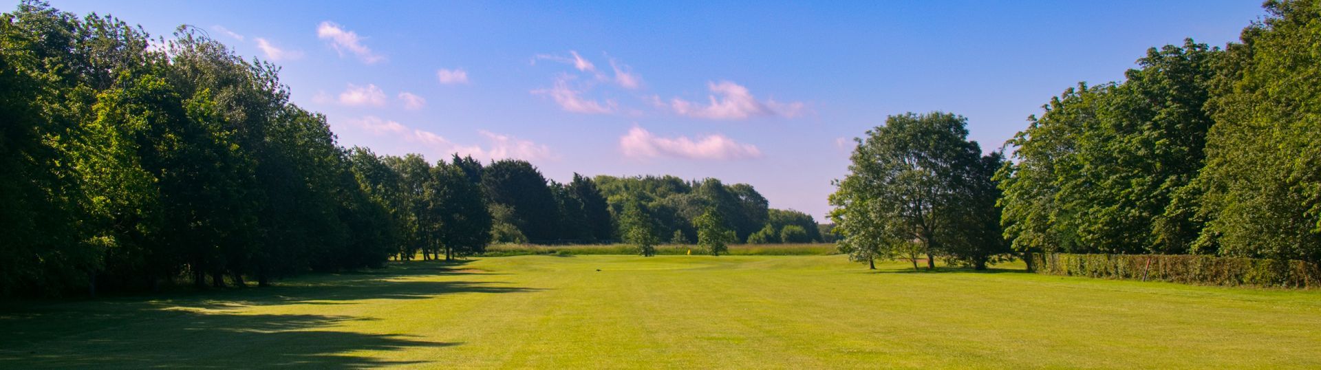 Home Header