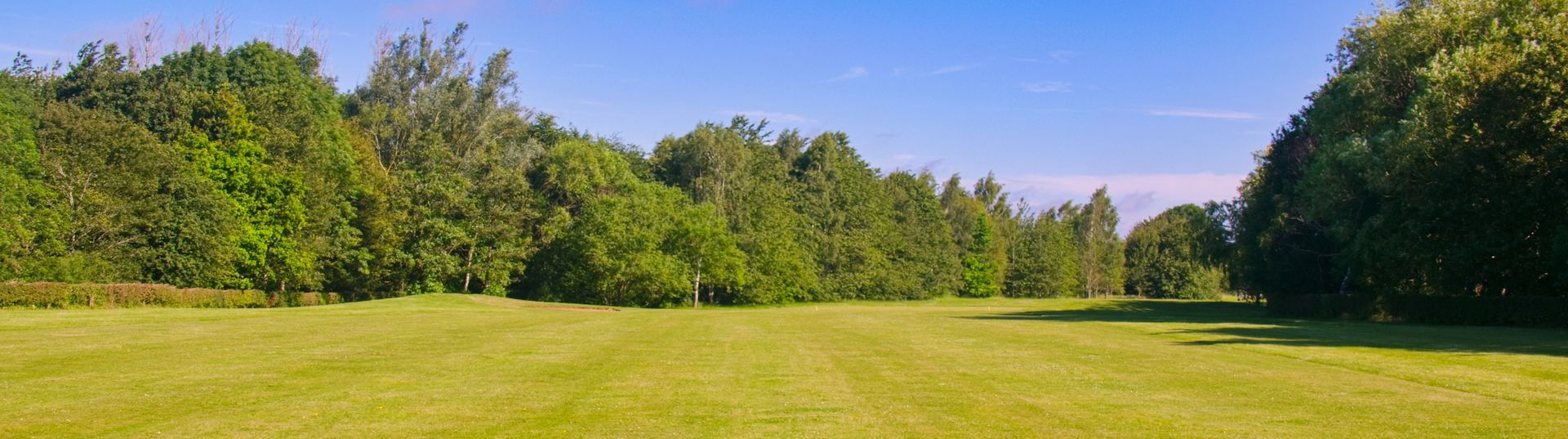 Home Header