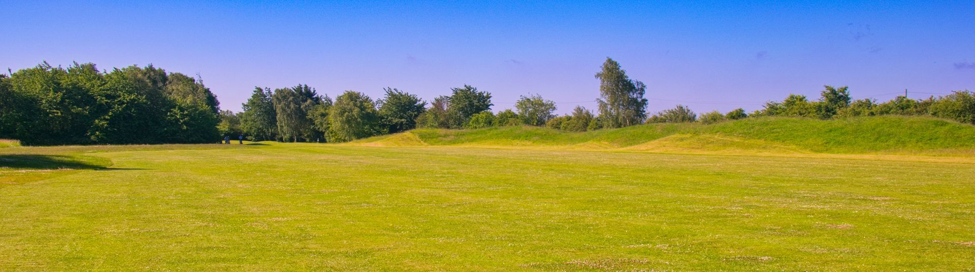 Home Header