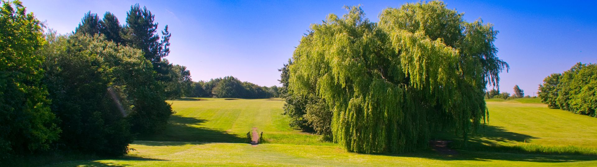 Home Header