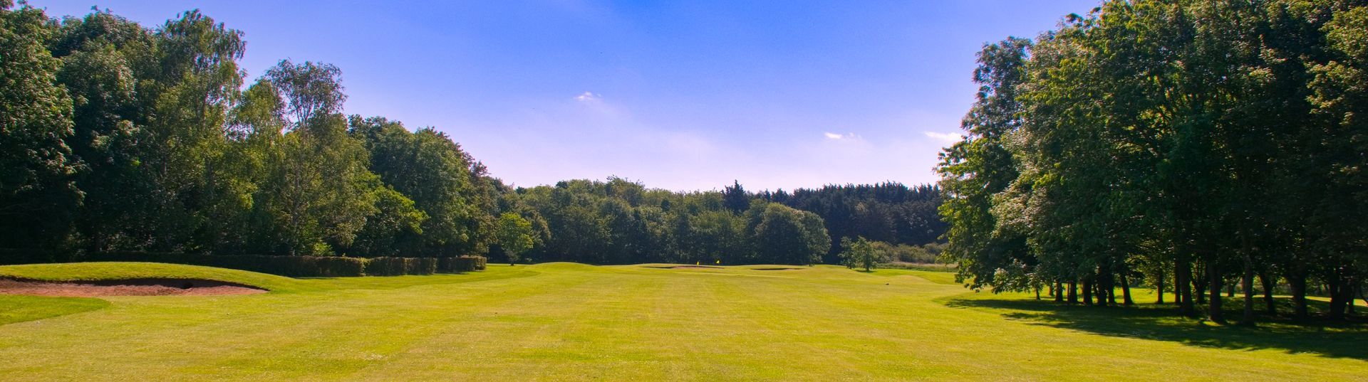 Home Header