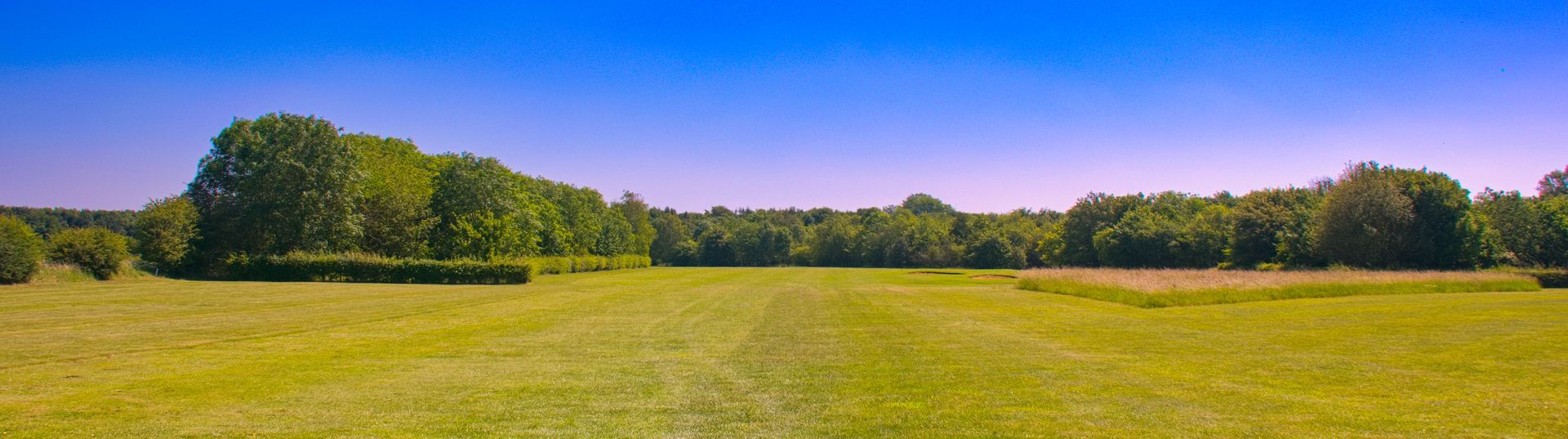 Home Header