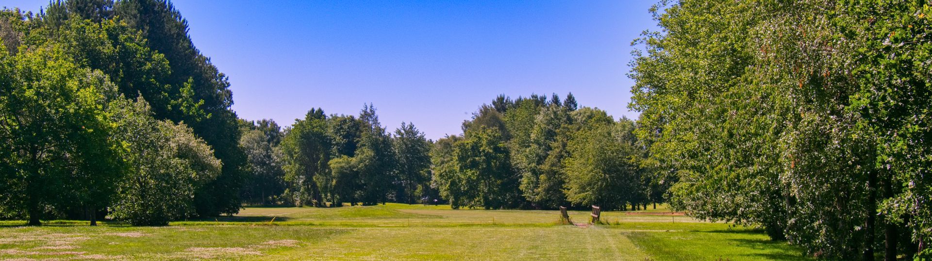 Home Header