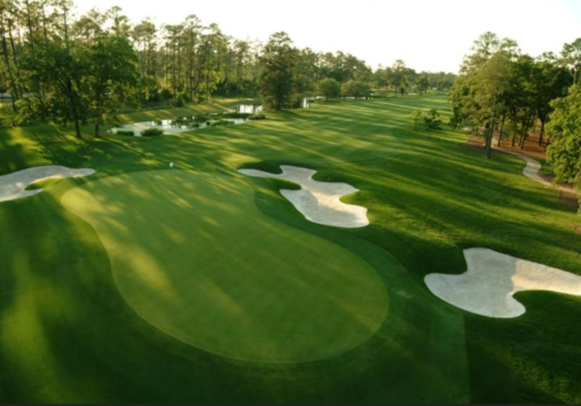 golf course greeny field