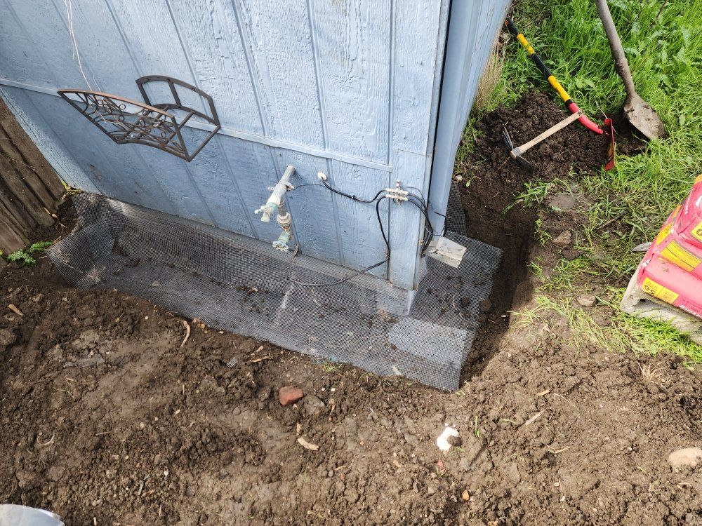 Gallery Image | Bills Trapping and Pest Removal