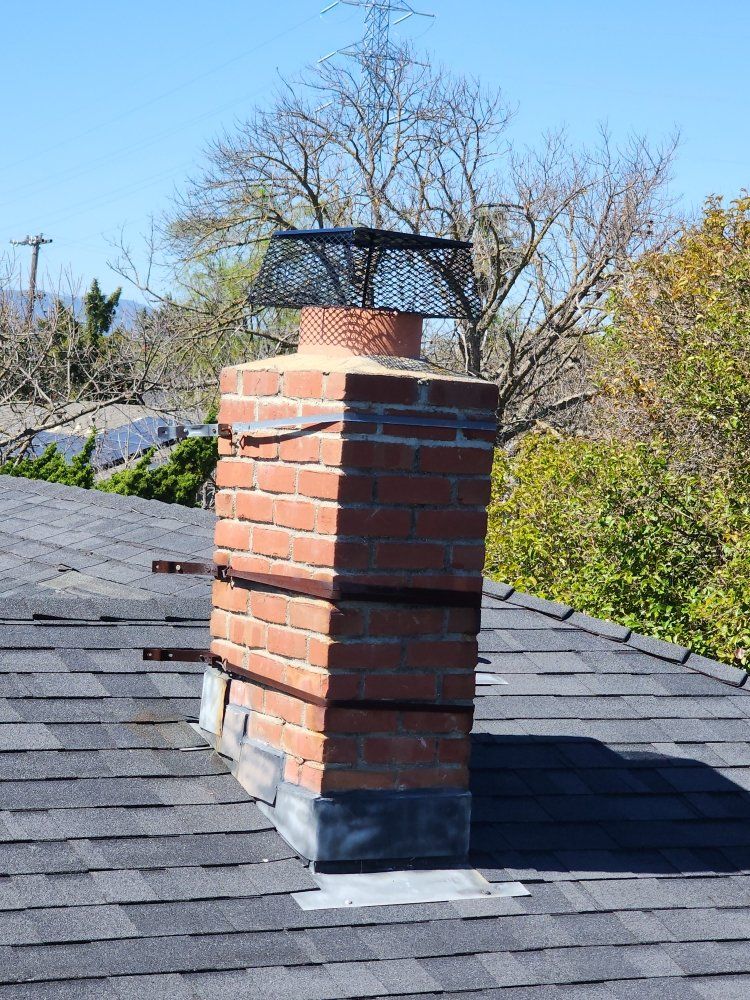 Gallery Image | Bills Trapping and Pest Removal