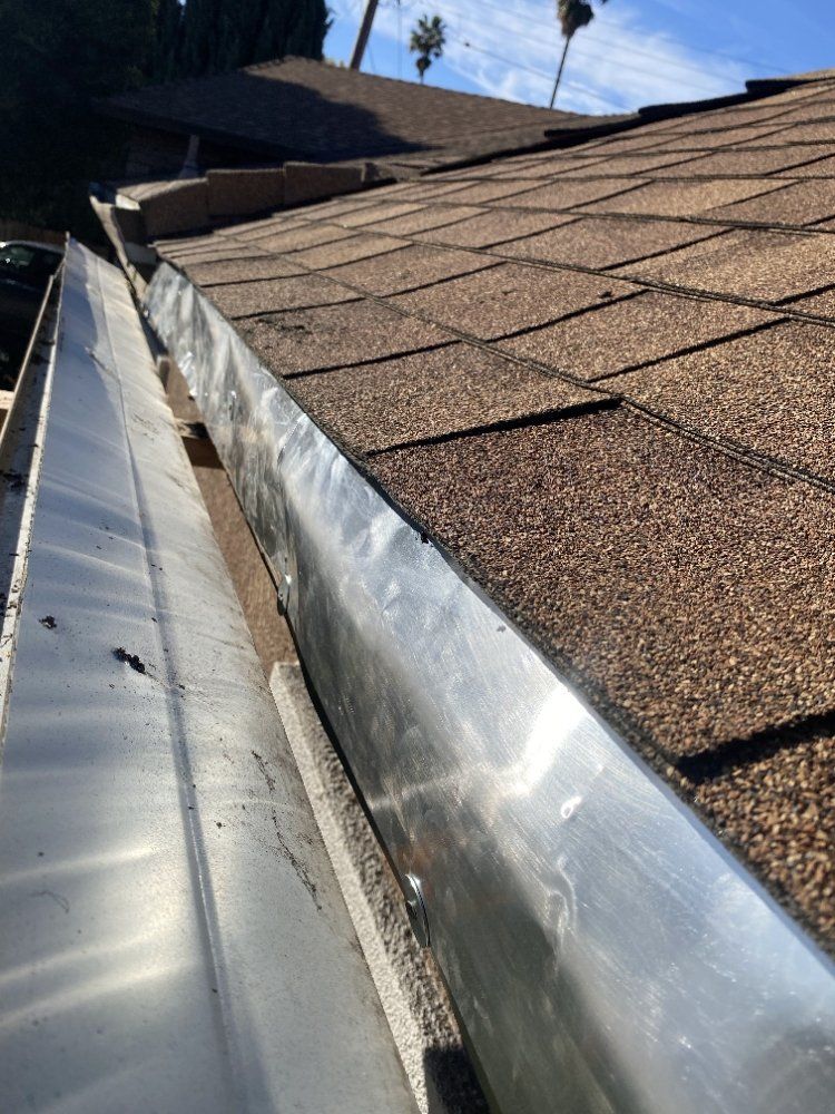Gallery Image | Bills Trapping and Pest Removal