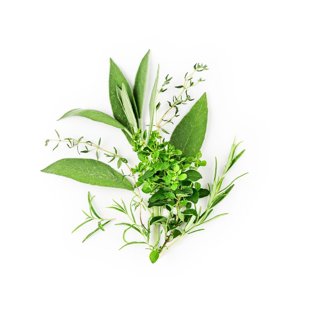 Rosemary, Marjoram, Sage and Thyme