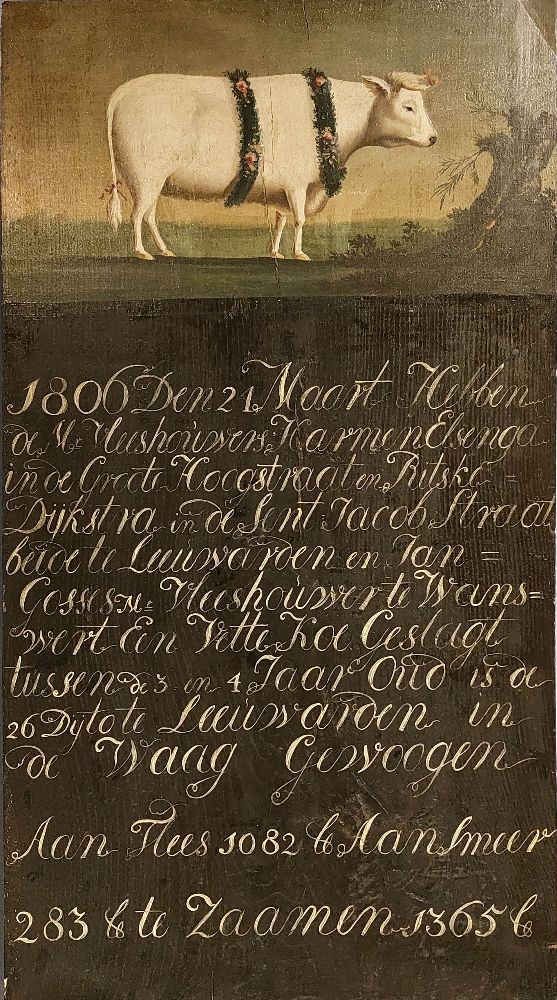 Een olieverfschilderij van een witte os, versierd met slingers, met daaronder een Nederlandse inscriptie met de afmetingen.