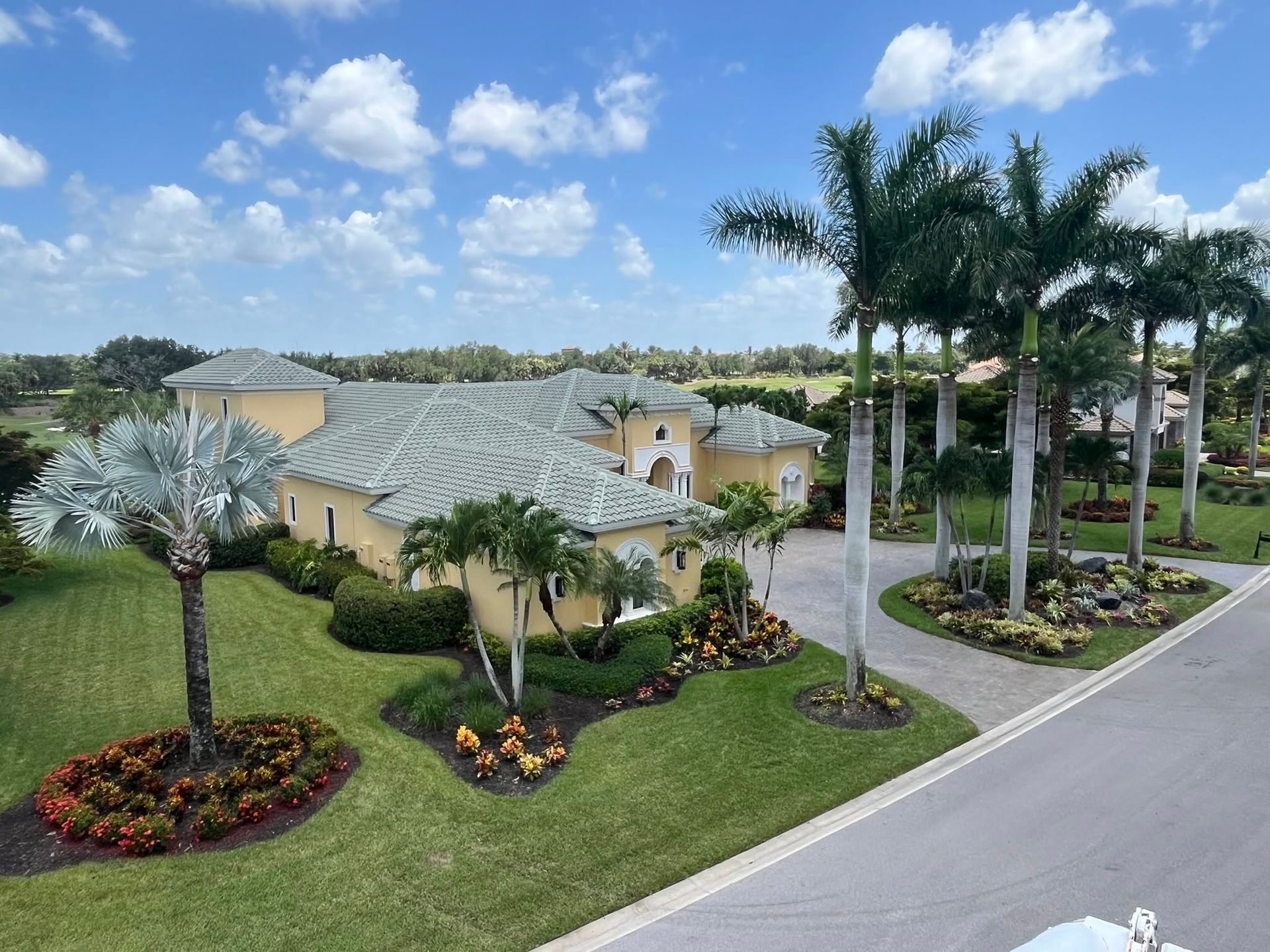 Palm-lined suburban home with manicured lawn and flower beds beside a curved road under a blue sky