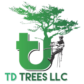 TD Trees LLC logo with green tree and stylized climber on white background