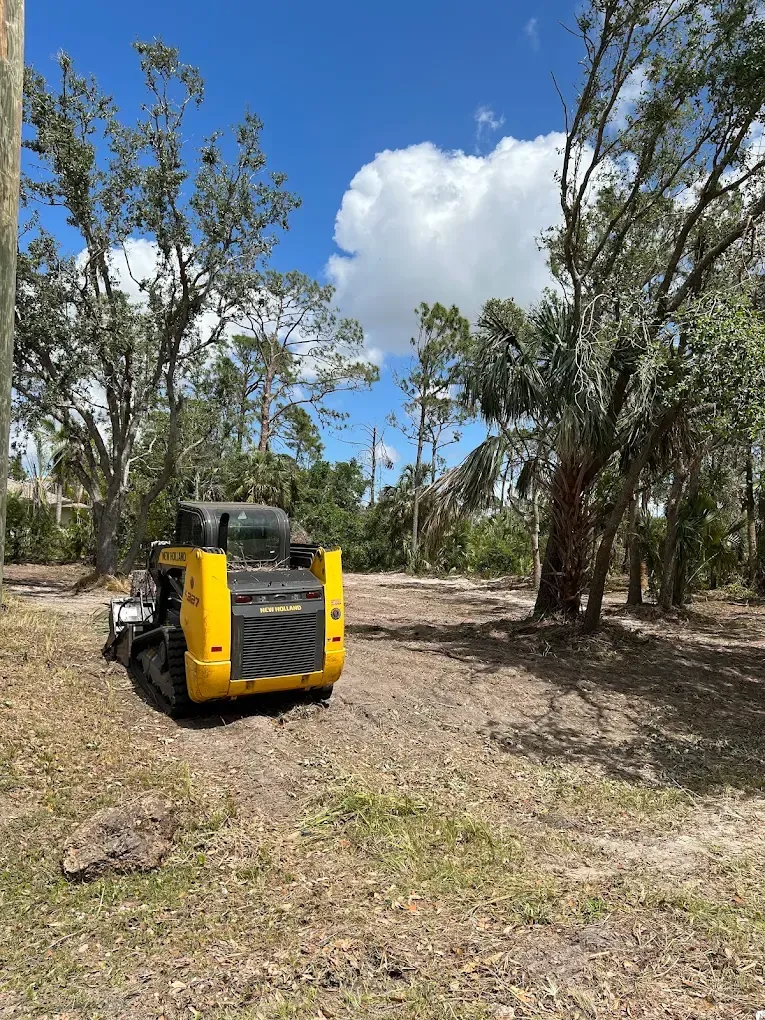 Yellow skid-steer loader in a dry wooded clearing under a blue sky.