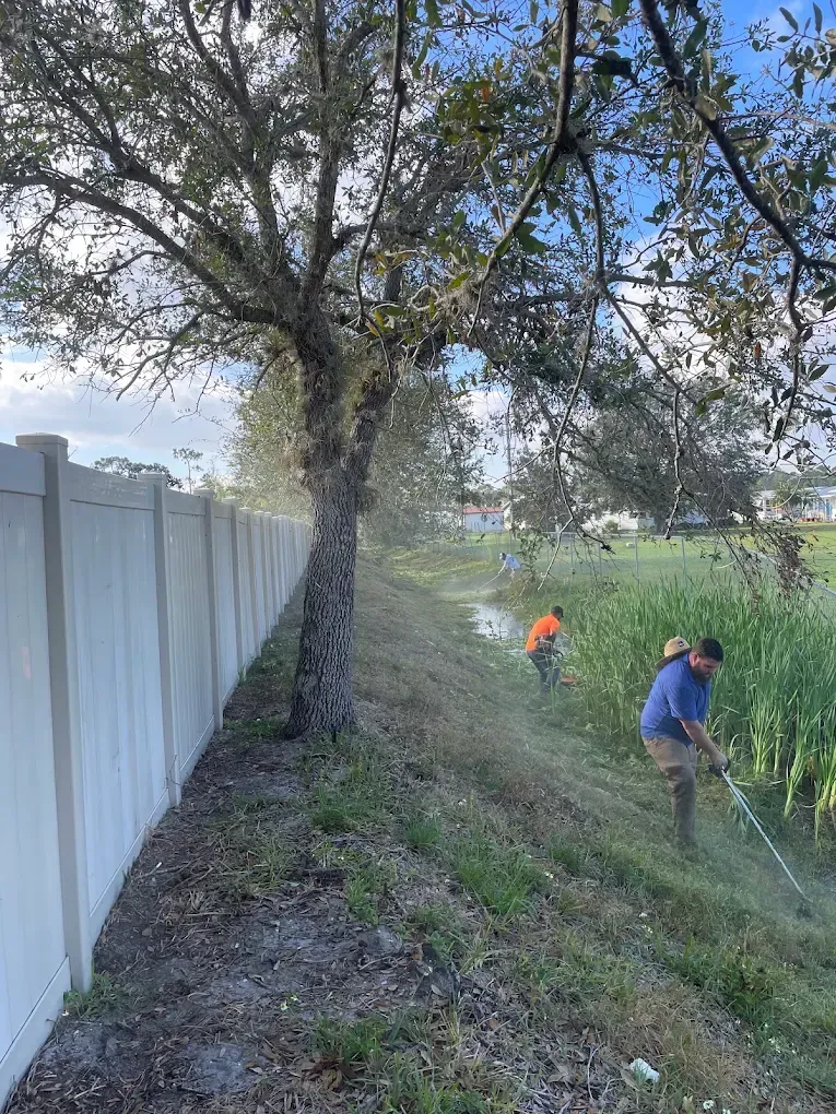 Two workers trimming grass along a sloped fence under a large tree.