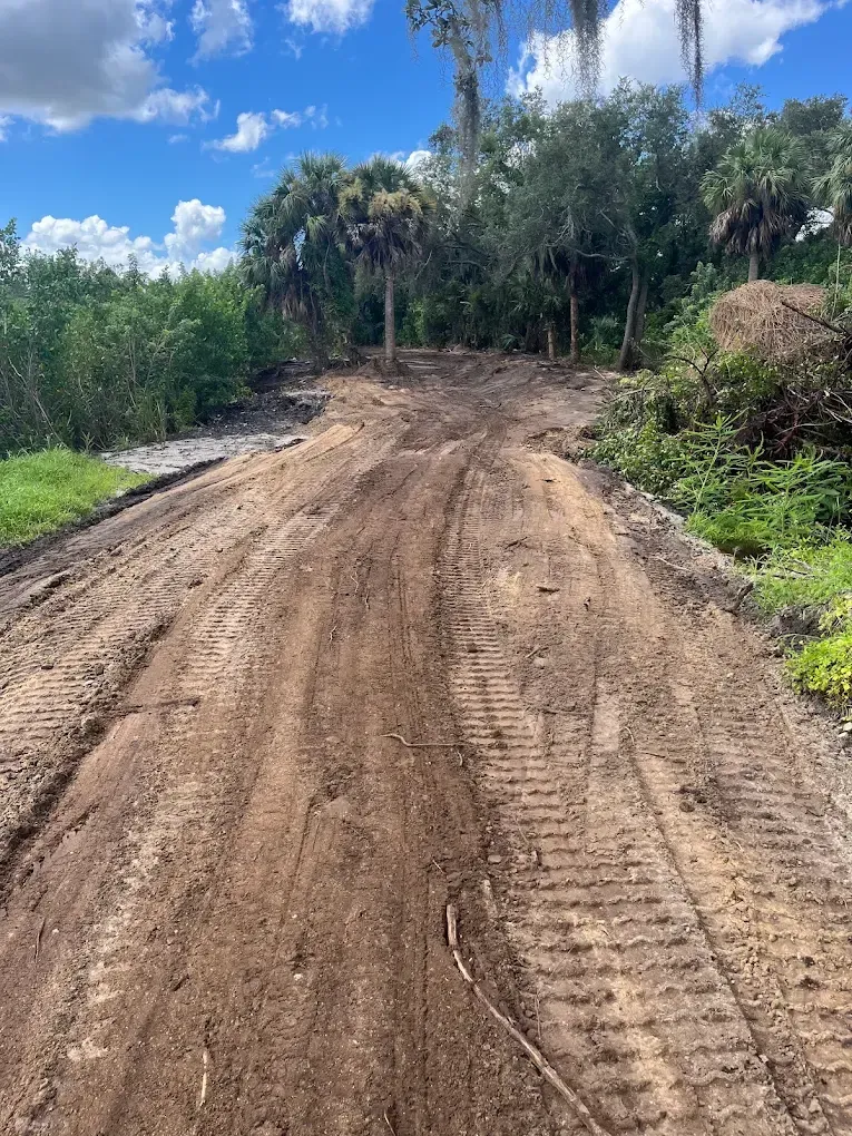 Muddy dirt road cutting through dense green trees under a bright blue sky