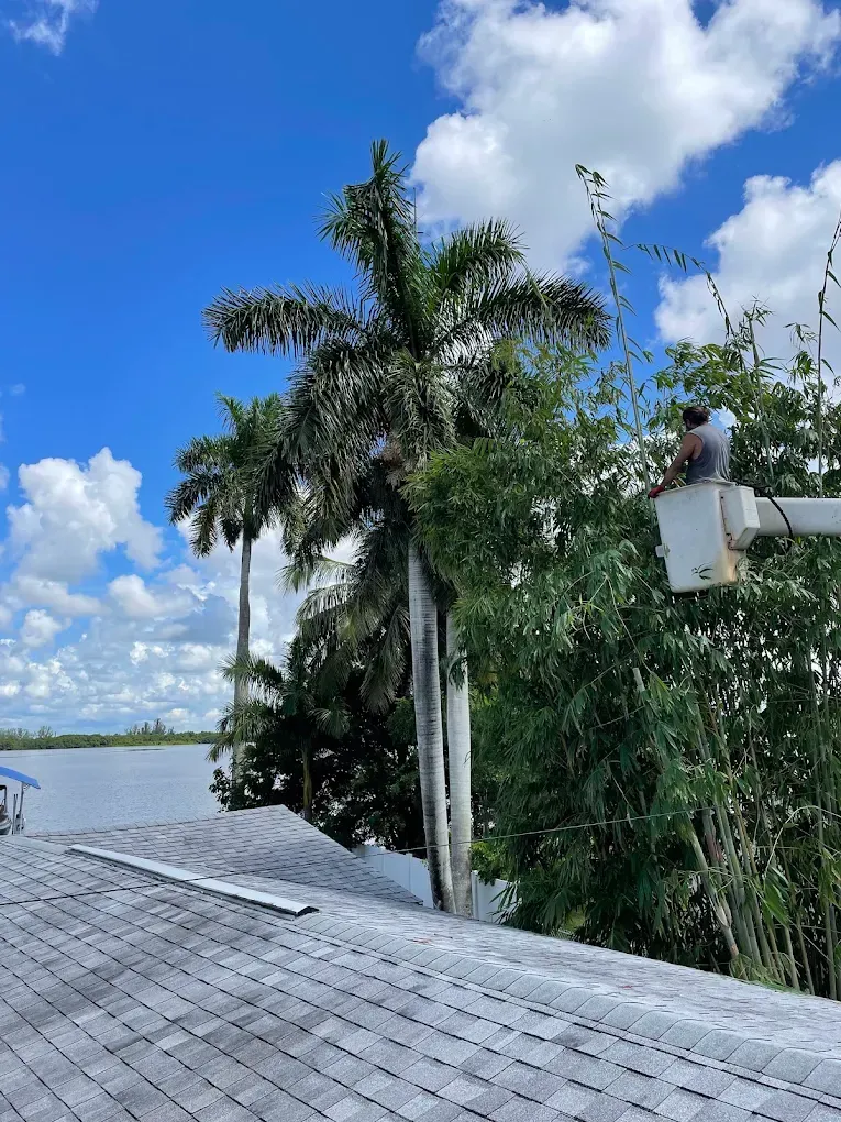 Rooftop view of a river, blue sky with clouds, and tall green trees beside a utility pole
