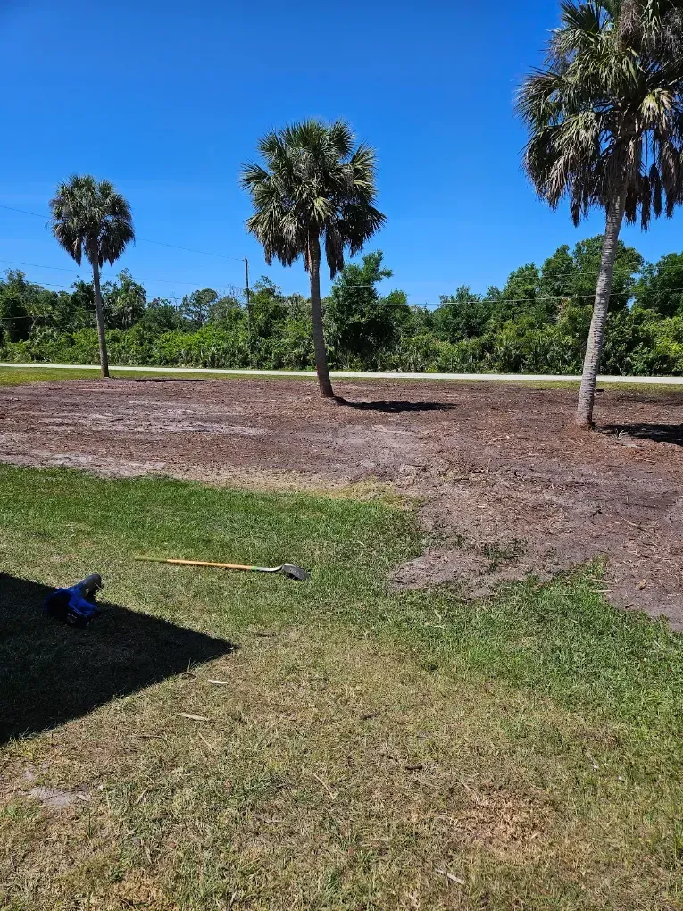 Sunny park with palm trees, grassy lawn, and a dirt path under a blue sky.