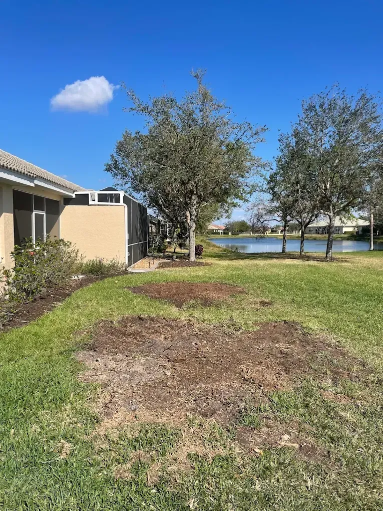 Patchy brown grass in a yard beside a beige building, with trees and a lake in the background.