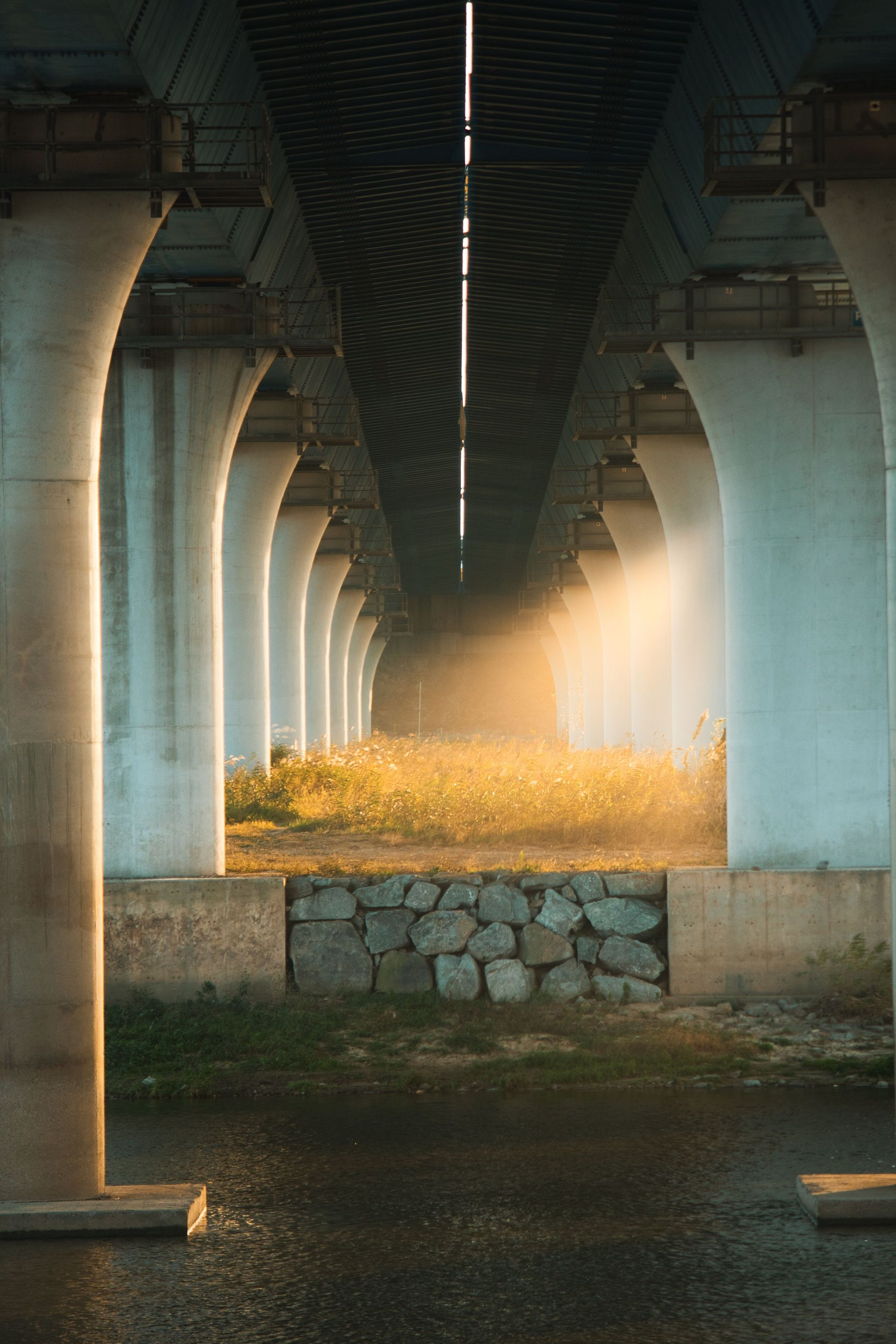 A dim underpass with concrete pillars and a bright patch of tall grass in the center.