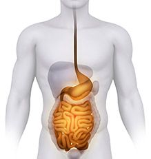 ¿Qué son las hernias inguinales?