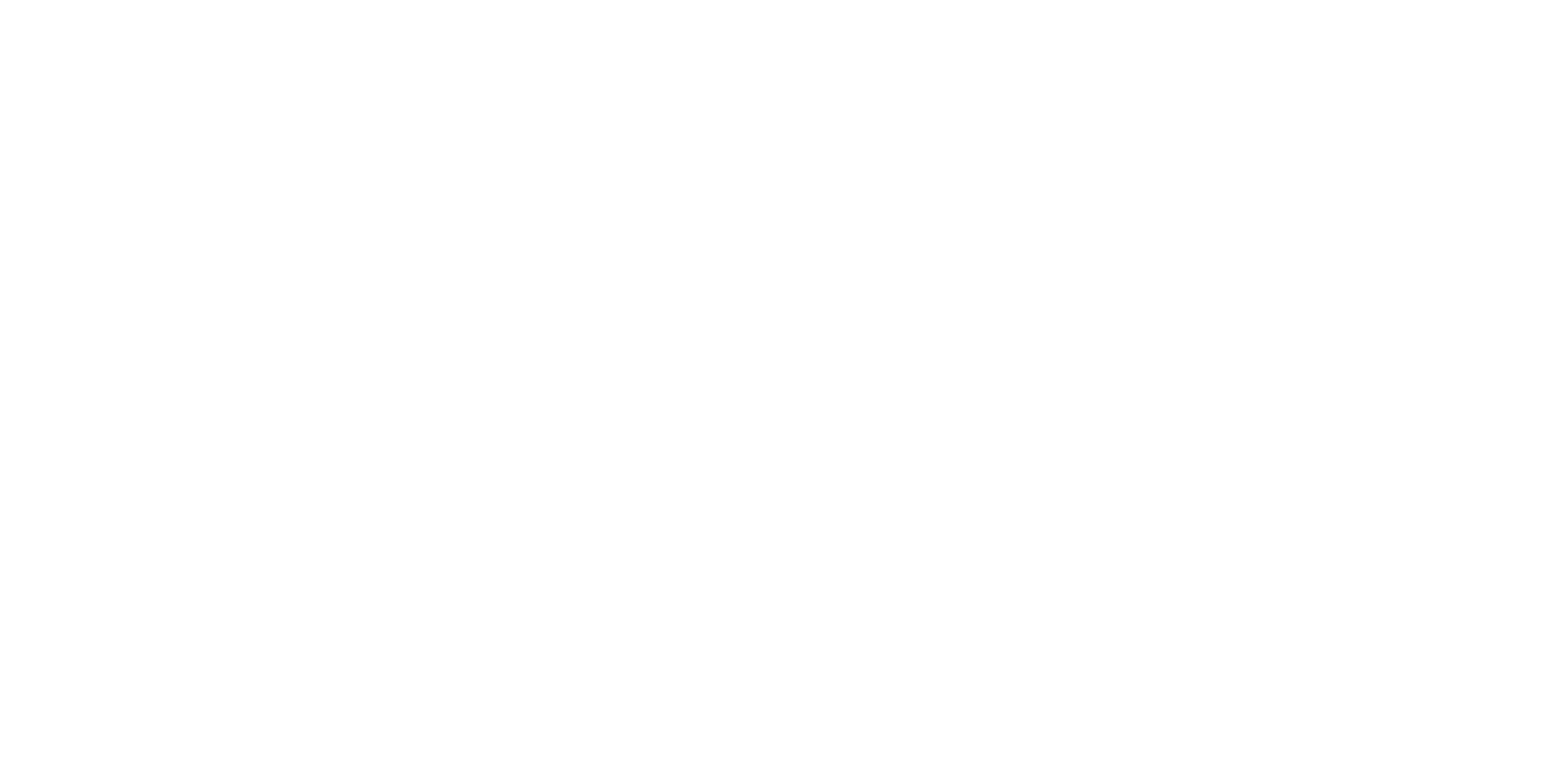 NPT Network logo White background.