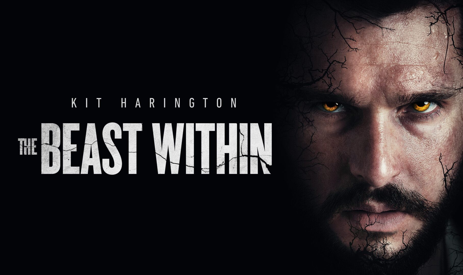 Movie poster for