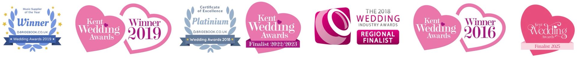 See our reviews online Surrey Live Bands for Hire. The RockPins are a multi award winning live wedding band.