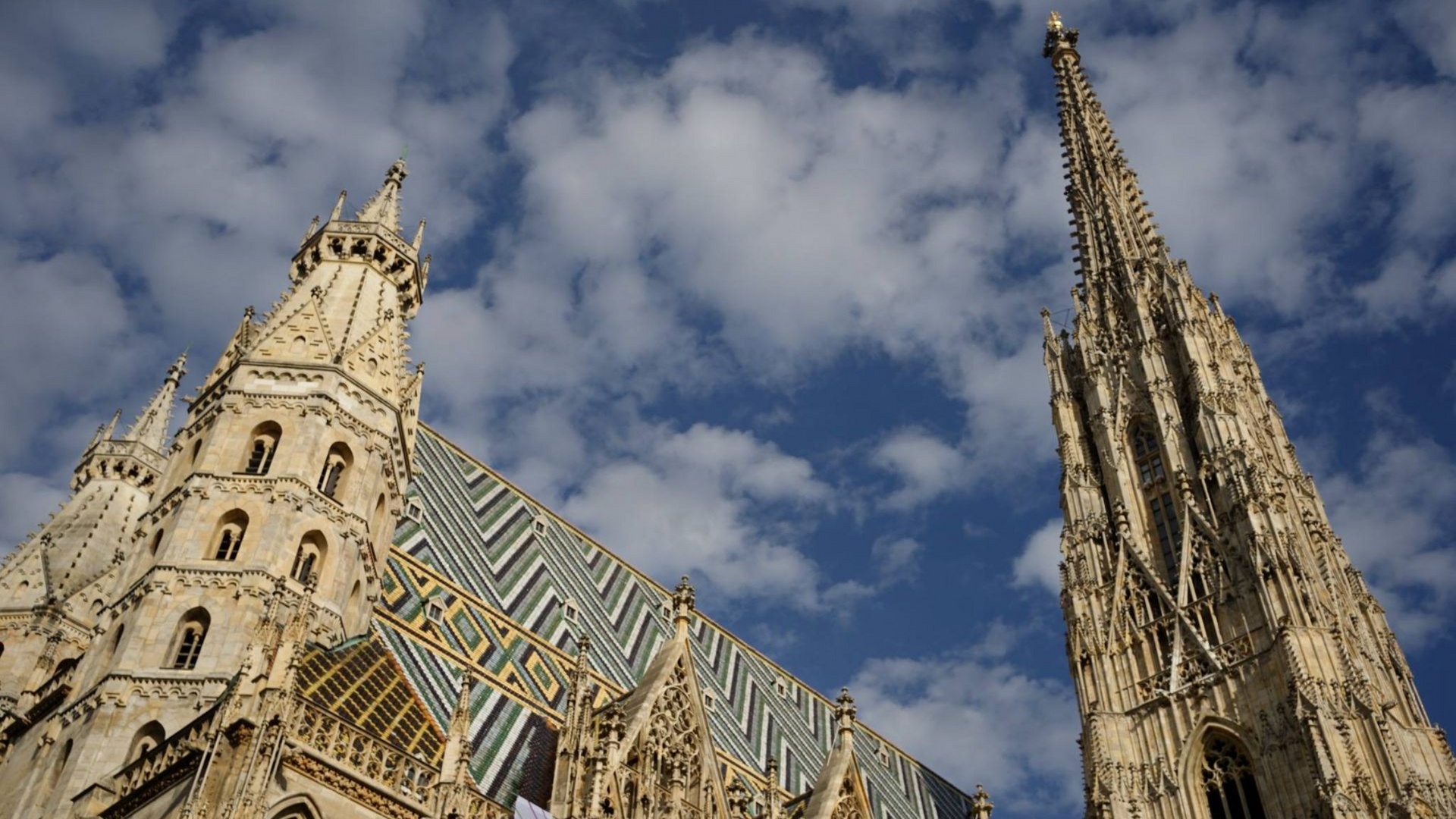 Guided walking tour in Vienna’s historic center in December
