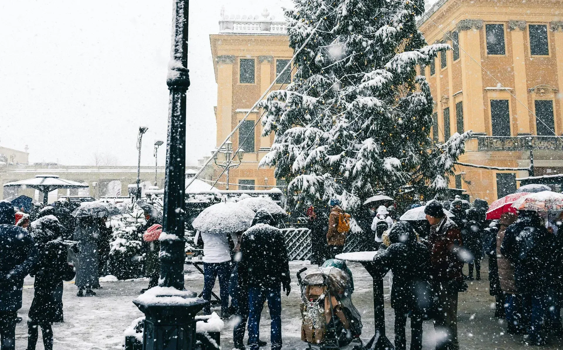 Snowfall at Schönbrunn Palace winter market with visitors under umbrellas—beautiful February atmosphere at Vienna’s most famous palace.