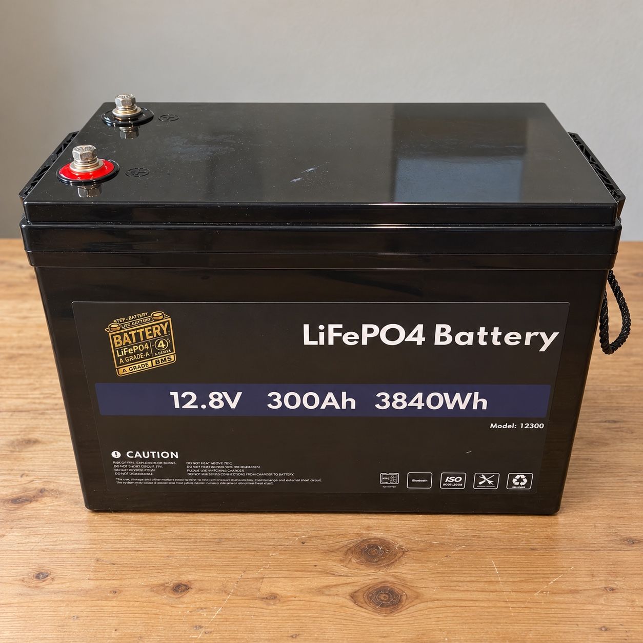 12V 300Ah Smart LiFePO4-accu in zwarte behuizing