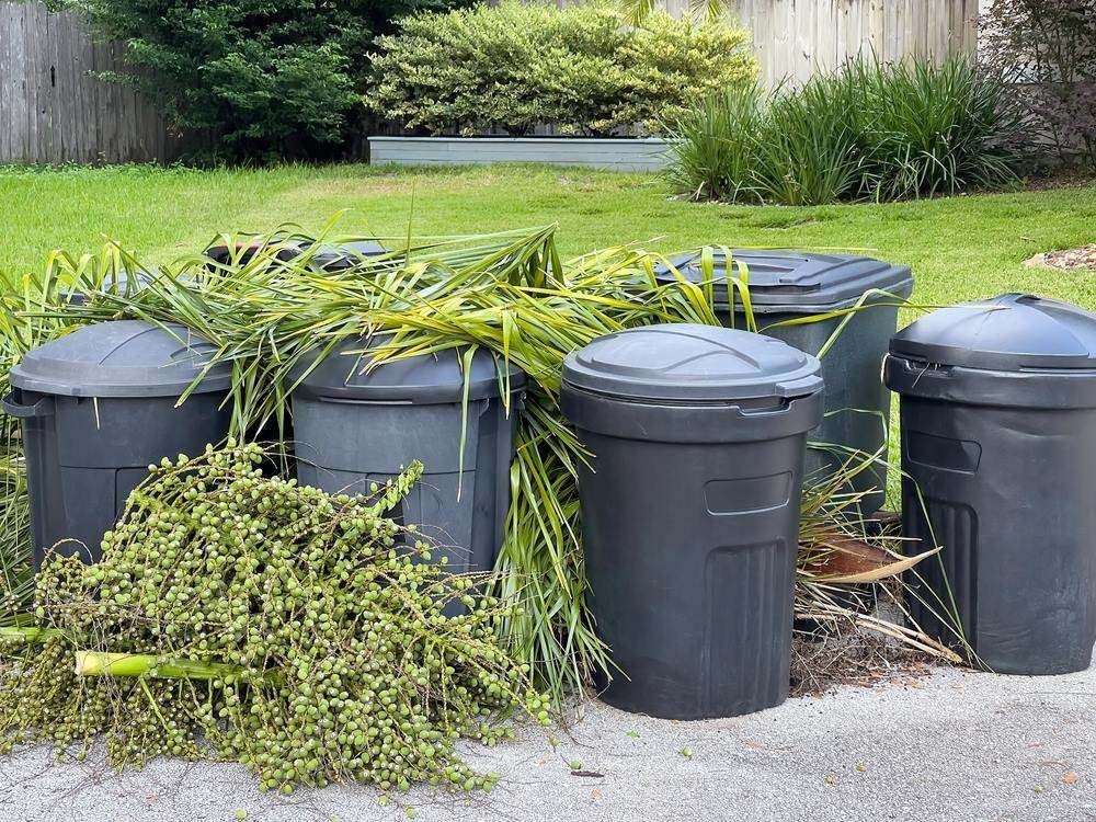Five Black Trash Bins Lined Up In A Yard, With Weeds — Fat Boy Skips Townsville In Nome, QLD