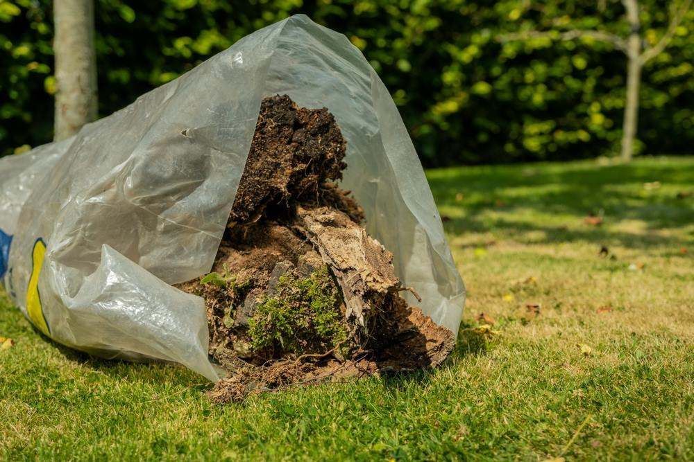 Bag Of Soil And Roots On A Grassy Lawn With Trees In The Background — Fat Boy Skips Townsville In Nome, QLD