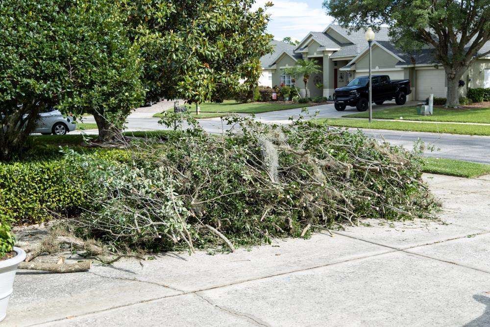 Large Pile Of Cut Tree Branches And Yard — Fat Boy Skips Townsville In Nome, QLD