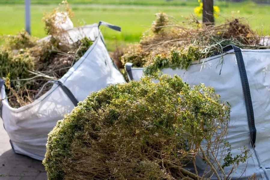 General Waste After a Storm in Townsville