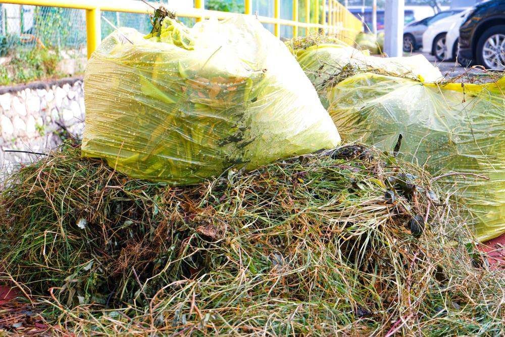 Piles Of Yard Waste And Branches — Fat Boy Skips Townsville In Nome, QLD