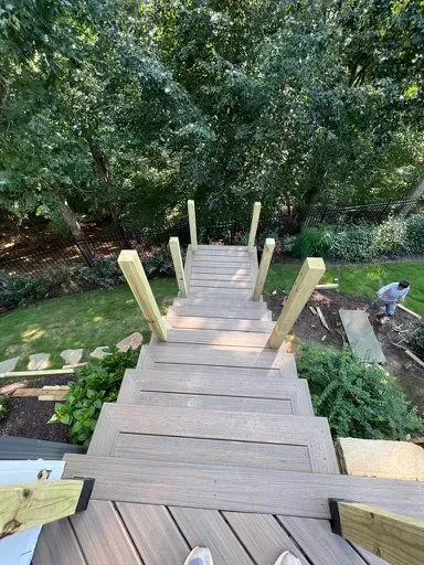 Wooden staircase descending through a lush green wooded yard