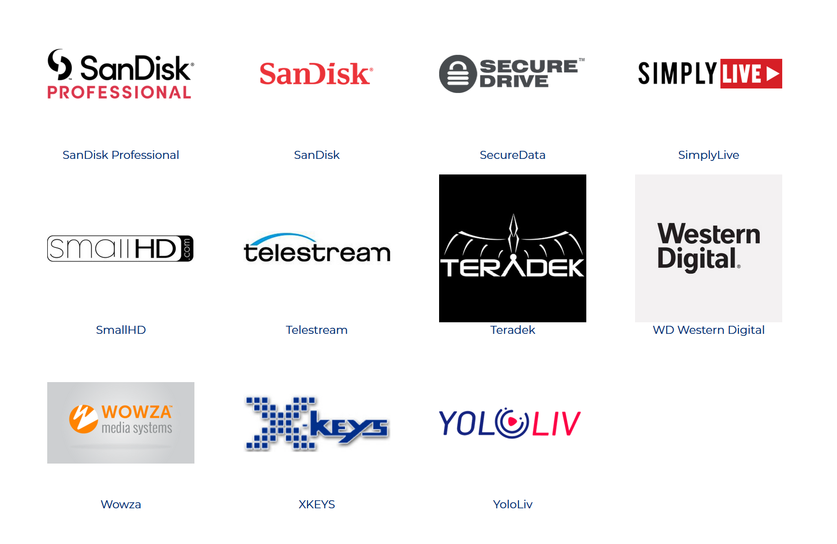 A bunch of logos on a white background including sandisk