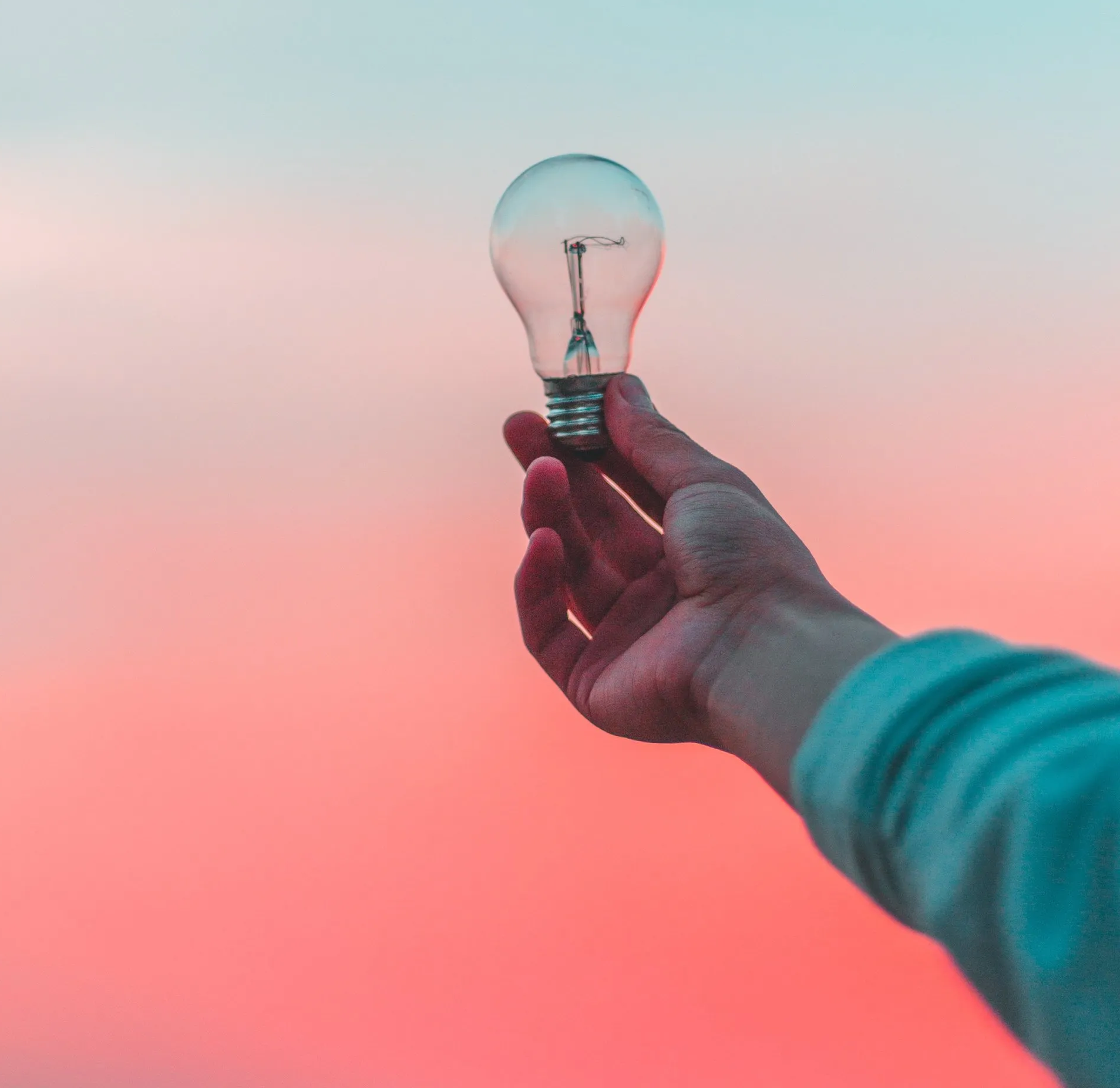A person is holding a light bulb in their hand.