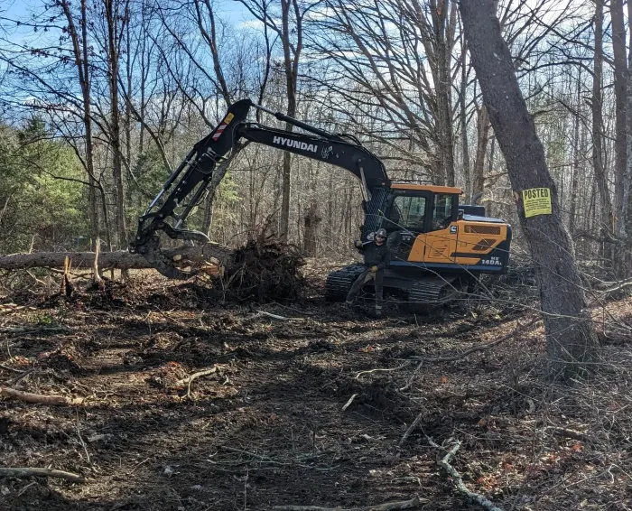 A yellow excavator is digging a hole in the middle of a forest.