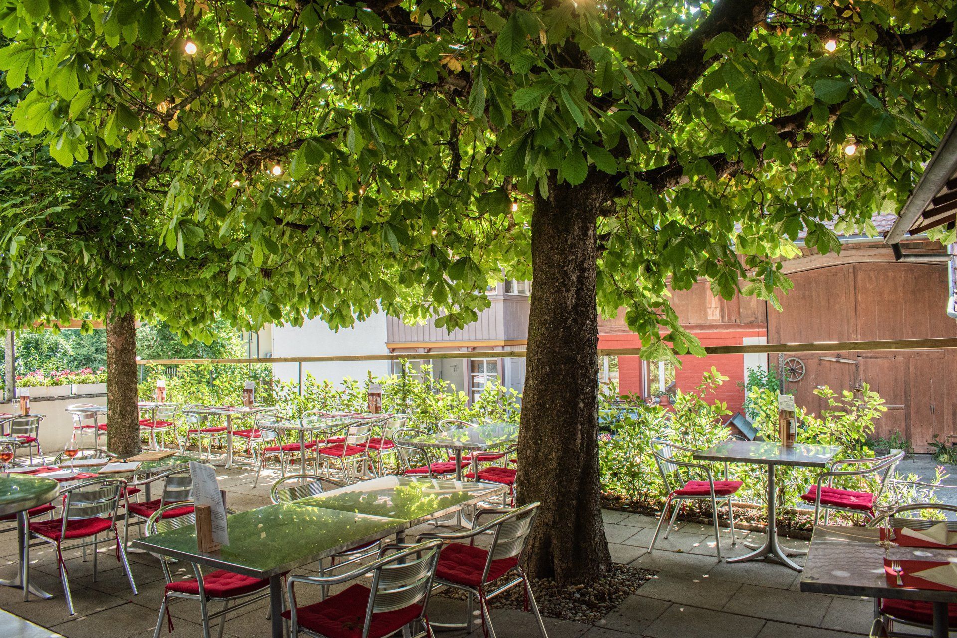 Außenbereich eines Cafés mit roten Stühlen und Tischen unter grünen Bäumen in einem sonnigen Innenhof