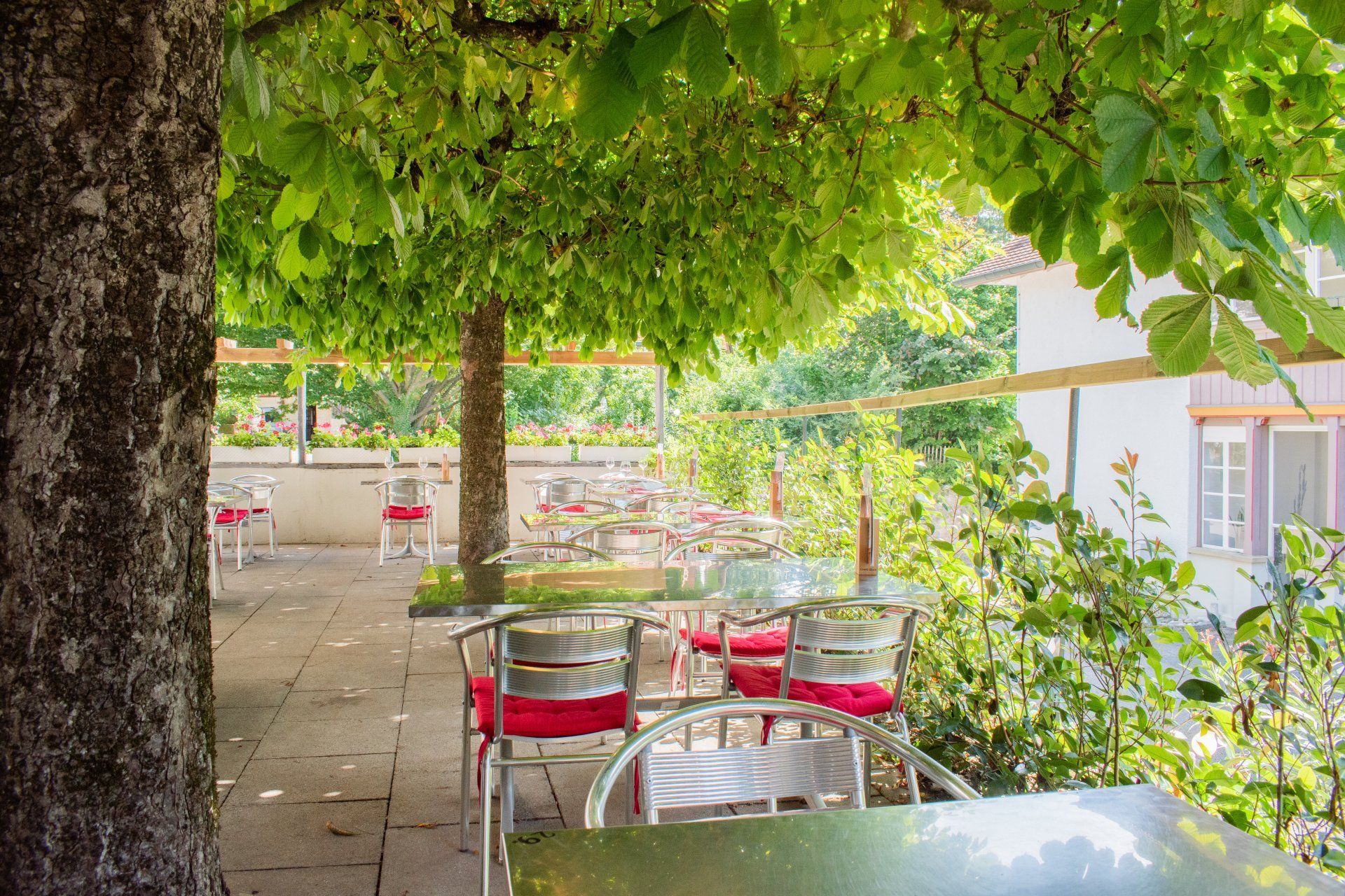 Schattige Sitzplätze im Café im Freien mit roten Stühlen und Tischen unter einem Blätterdach