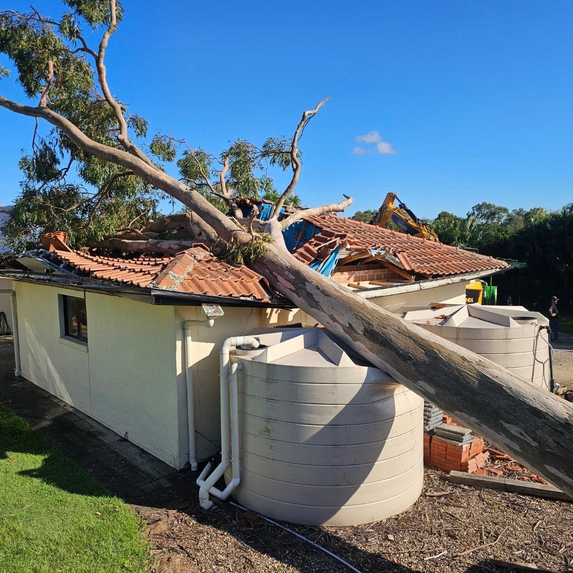 Emergency Tree Removal Brisbane | 24/7 Urgent Tree Services