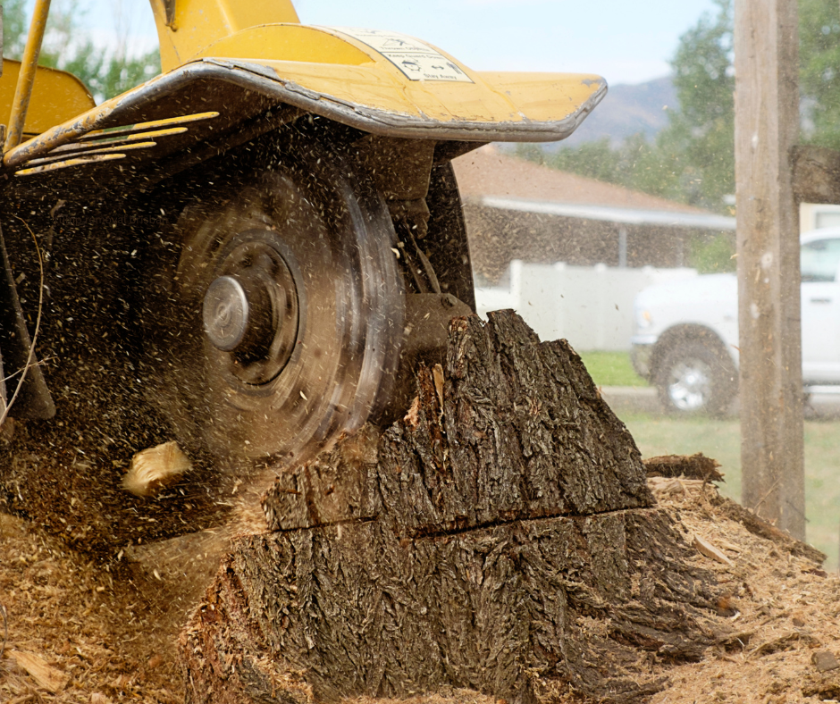 Stump Removal Nathan