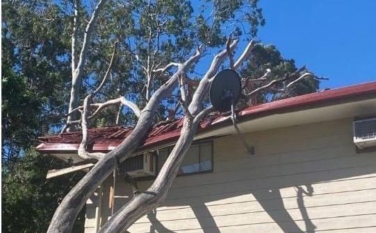 24 Hour Emergency Tree Removal