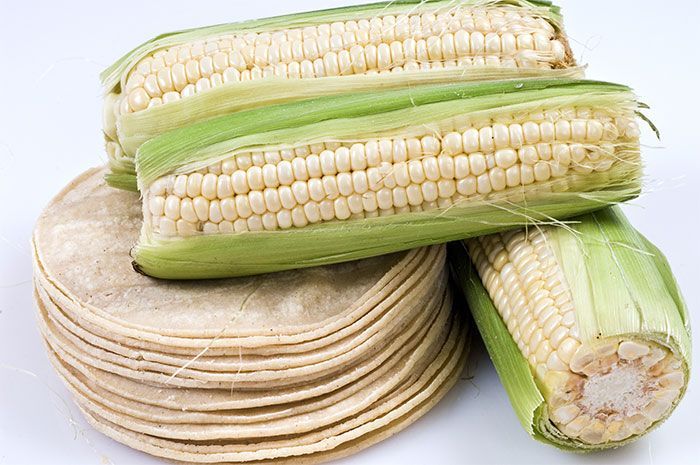 ALIMENTOS JB